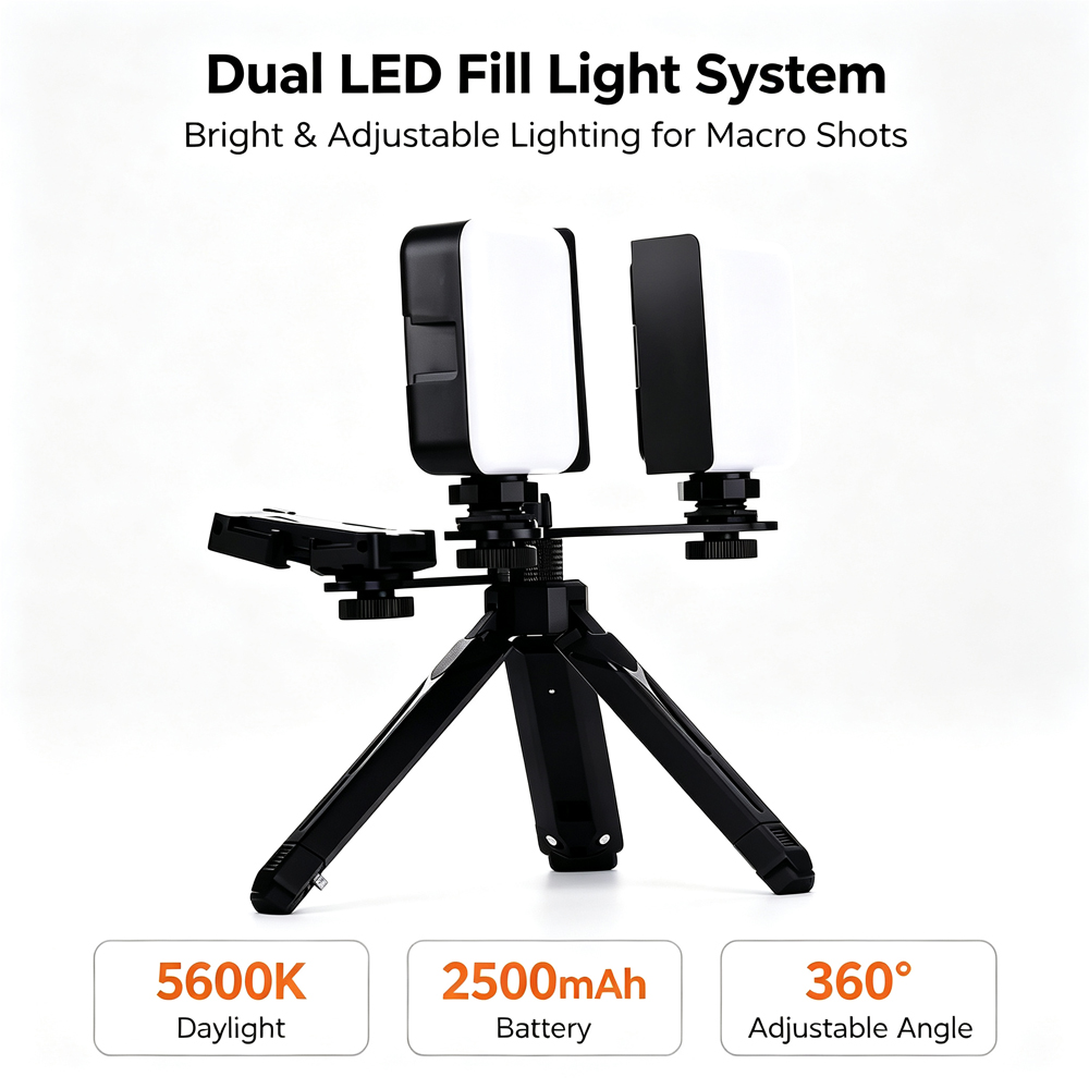 LODDEN Luz de relleno Dental c - Photography Lighting Equipment reseña y precio
